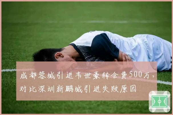 成都蓉城引进韦世豪转会费500万,对比深圳新鹏城引进失败原因