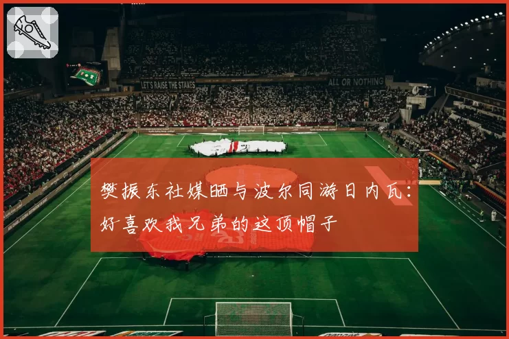 樊振东社媒晒与波尔同游日内瓦：好喜欢我兄弟的这顶帽子