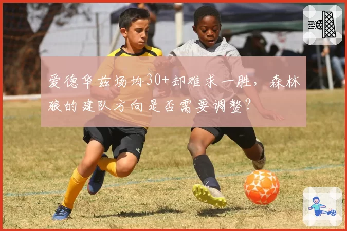 爱德华兹场均30+却难求一胜，森林狼的建队方向是否需要调整？