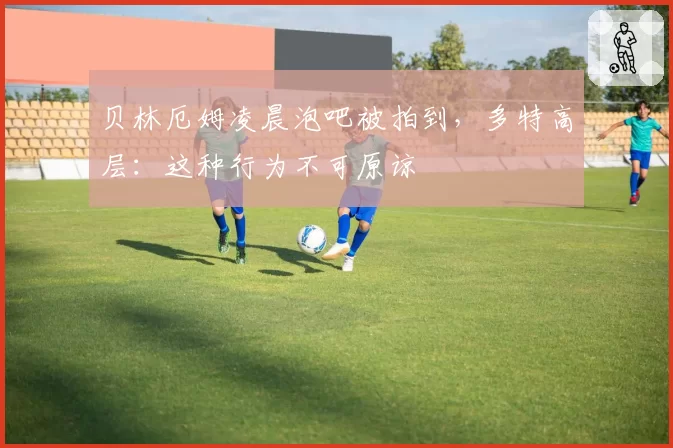 贝林厄姆凌晨泡吧被拍到，多特高层：这种行为不可原谅