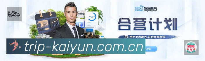开云APP 封面图